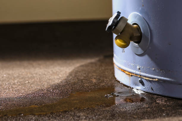 Best Water damage restoration near me  in Penrose, CO