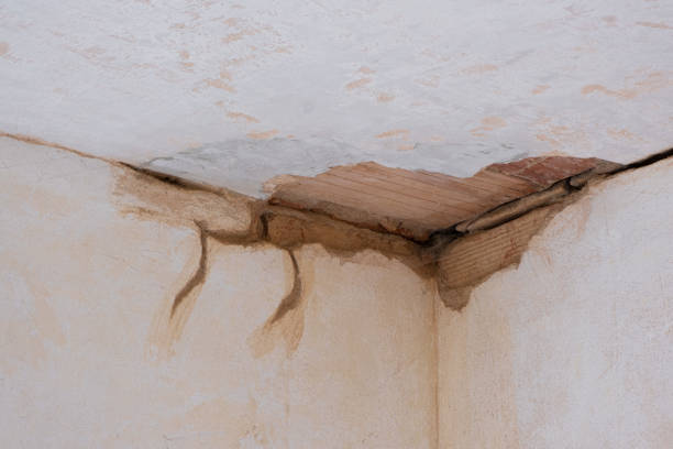 Best Water damage restoration cost  in Penrose, CO