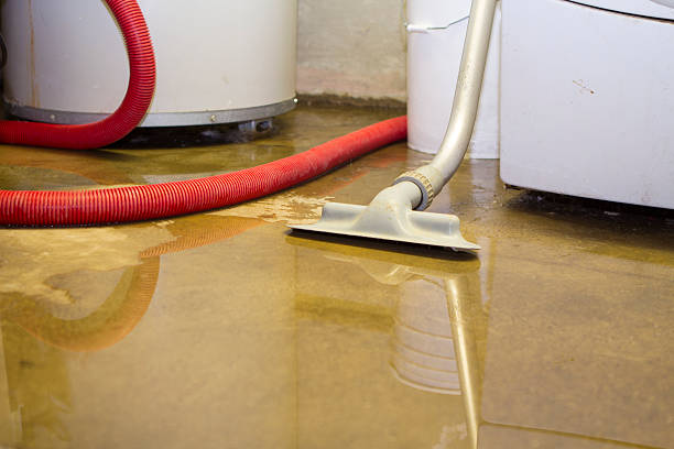 Best Mold removal after water damage  in Penrose, CO