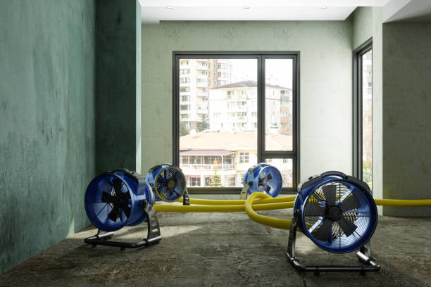Best Basement water damage restoration  in Penrose, CO